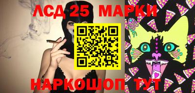прущие грибы Кунгур