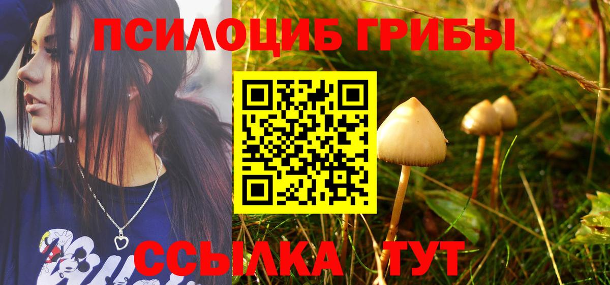 Унеча  Псилоцибиновые грибы Psilocybine cubensis  Вход с VPN  Галлюциногенные грибы Cubensis 